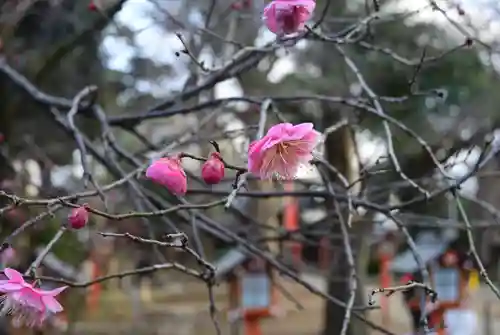 明王院（満願寺別院）の自然