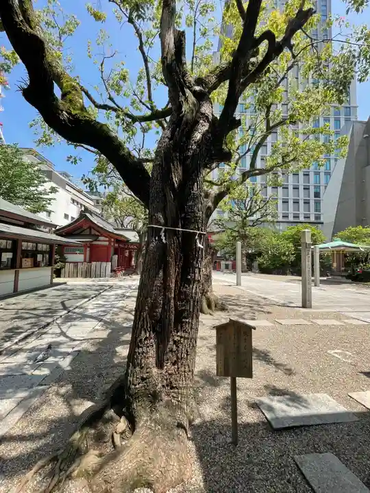 御霊神社の自然