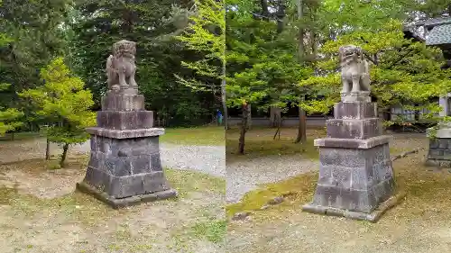 上川神社の狛犬