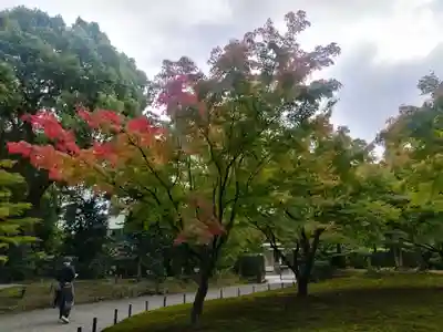 城南宮(京都府)