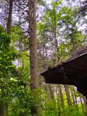 鹿島神社(茨城県)