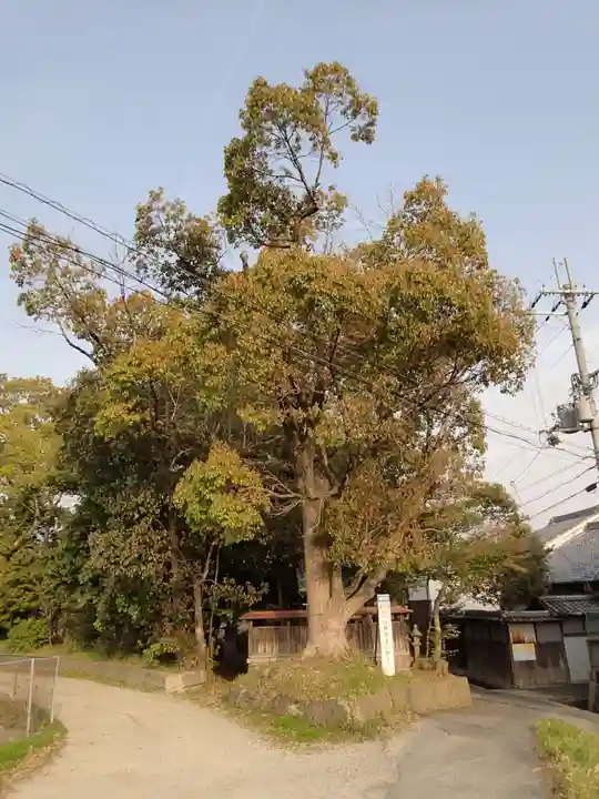 國津神社(奈良県)