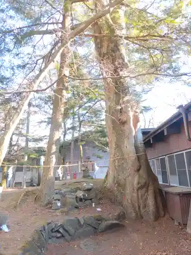 諏訪神社(長野県)