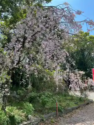 萬徳寺(愛知県)