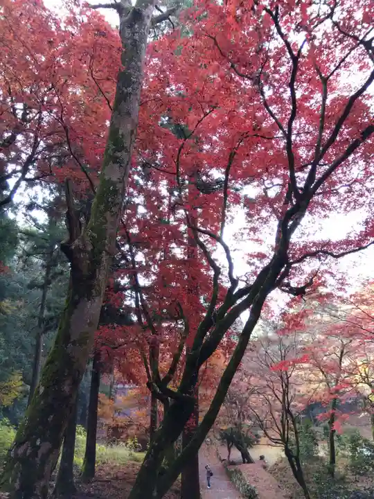鶏足寺(滋賀県)