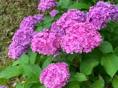 長谷寺(長野県)