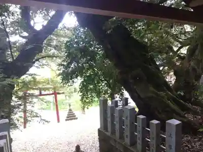 田結神社(福井県)