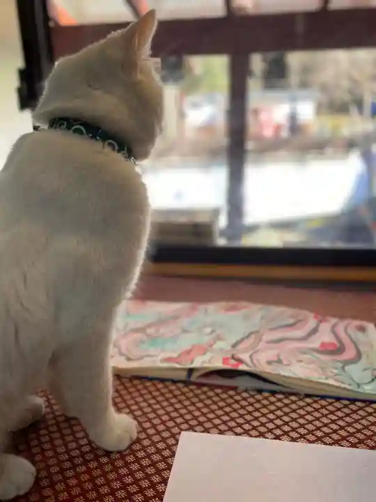 鳳仙寺(栃木県)