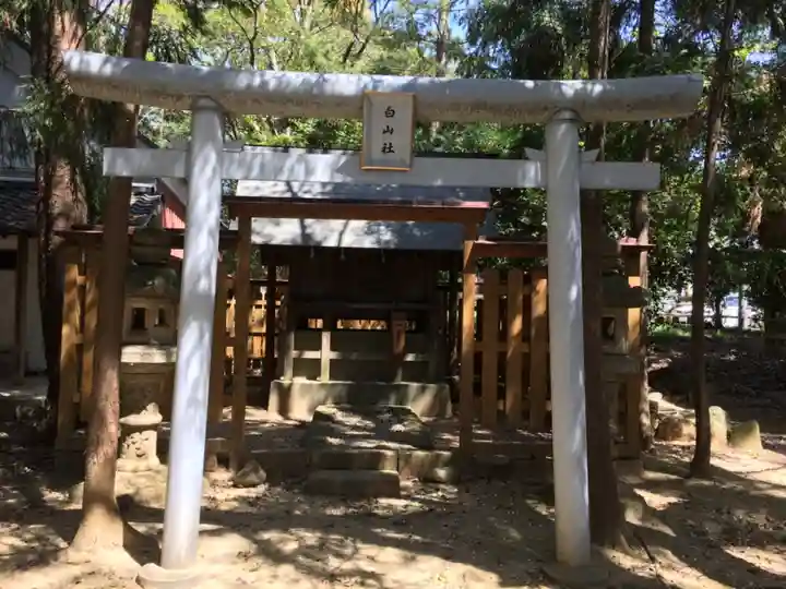 土呂八幡宮の鳥居