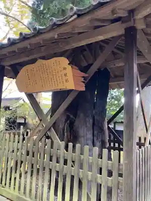 西念寺(茨城県)