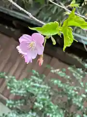 富知六所浅間神社(静岡県)