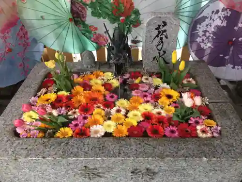 札幌諏訪神社の手水