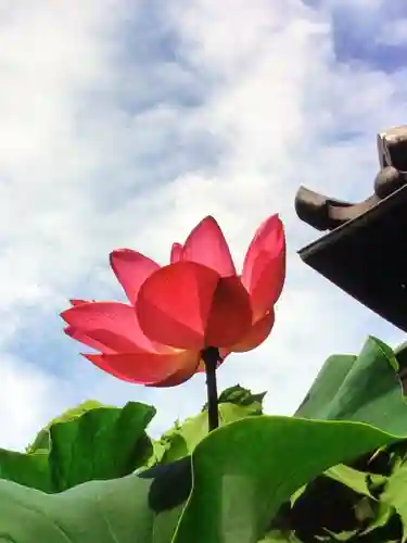 宗延寺(東京都)