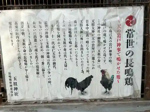 玉祖神社(大阪府)