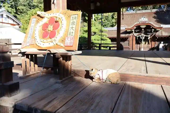 梅宮大社(京都府)