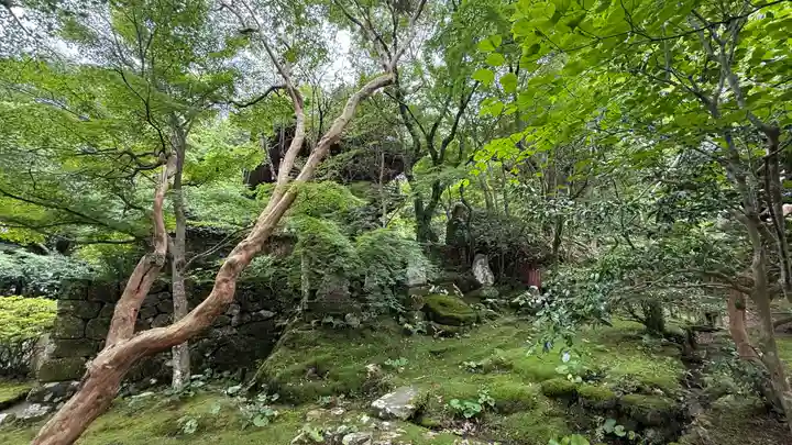 竹林寺(高知県)