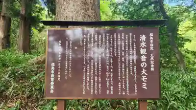 清水観音(福島県)