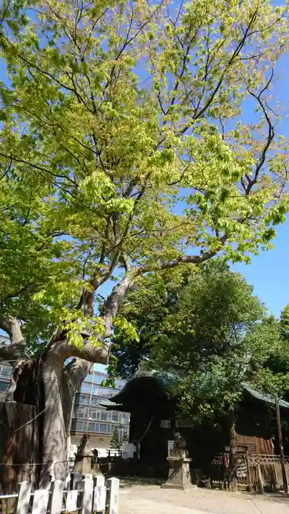 阿邪訶根神社の自然