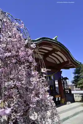 千住神社(東京都)