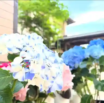 十日恵比須神社(福岡県)