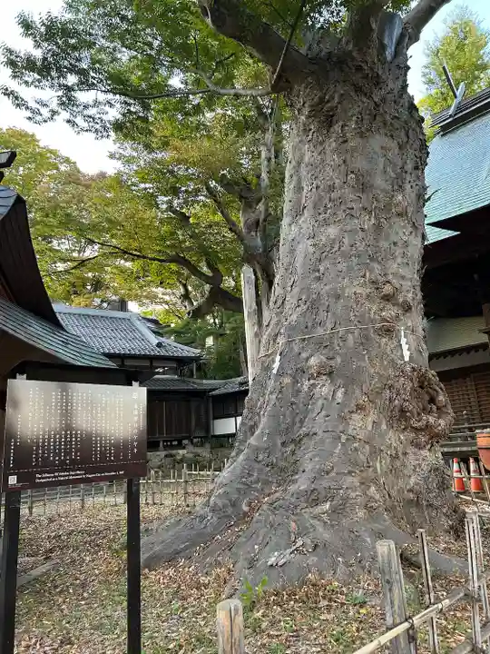 湯福神社(長野県)