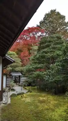 地蔵院(京都府)