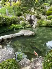 妙感寺(滋賀県)