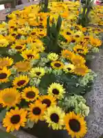 住吉神社の手水舎