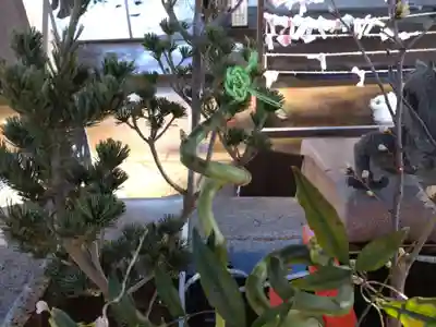 金峯神社(新潟県)