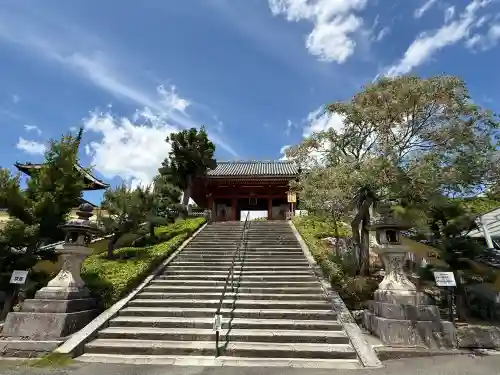 叡福寺の{uncategorized: "未分類", other: "その他", undefined: "問題あり", building: "その他建物", grave: "お墓", sacred_gate: "鳥居", guardian: "狛犬", statue: "像", buddha: "仏像", history: "歴史", nature: "自然", garden: "庭園", animal: "動物", pagoda: "塔", temizu: "手水舎", mountain_gate: "山門・神門", sanctuary: "本殿・本堂", subordinate: "末社・摂社", art: "芸術", scenery: "景色", jizo: "地蔵", ema: "絵馬", goshuin: "御朱印", omikuji: "おみくじ", items: "授与品その他", amulet: "お守り", goshuincho: "御朱印帳", eats: "食事", festival: "お祭り", votive_dance: "神楽", shichigosan: "七五三参", wedding: "結婚式", experience: "体験その他", initially: "初詣", around: "周辺", anti_infection: "感染症対策"}