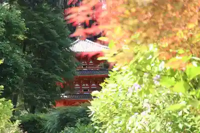 岩船寺のその他建物