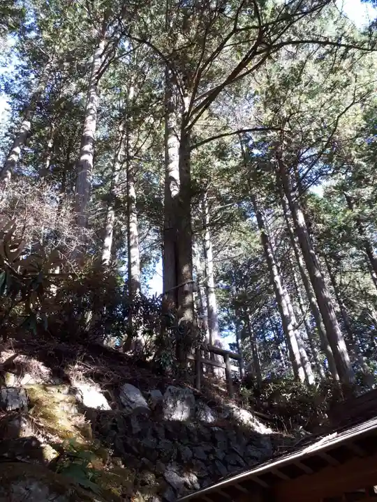 三峯神社の自然