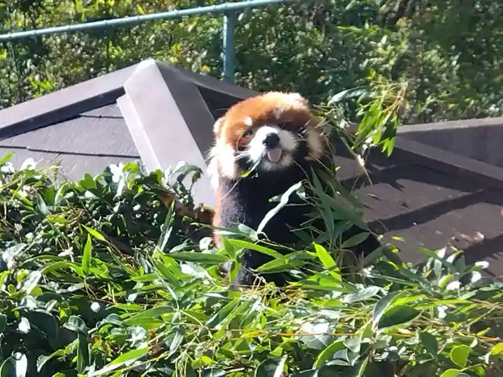 妙法寺(福井県)