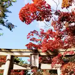 彌彦神社　(伊夜日子神社)(北海道)