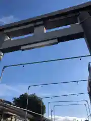 柏原神社の鳥居