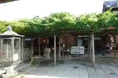 興福寺(奈良県)