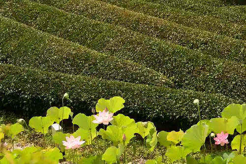 定福寺(高知県)