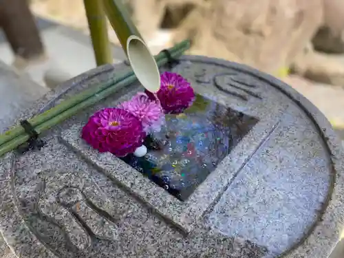 岡寺（龍蓋寺）(奈良県)