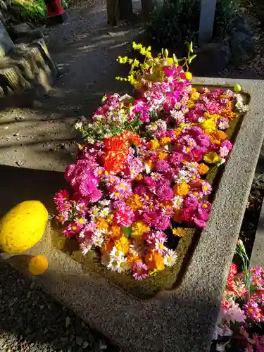 磯山弁財天(栃木県)