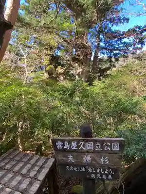 木魂神社(鹿児島県)