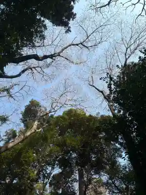 神明神社の{uncategorized: "未分類", other: "その他", undefined: "問題あり", building: "その他建物", grave: "お墓", sacred_gate: "鳥居", guardian: "狛犬", statue: "像", buddha: "仏像", history: "歴史", nature: "自然", garden: "庭園", animal: "動物", pagoda: "塔", temizu: "手水舎", mountain_gate: "山門・神門", sanctuary: "本殿・本堂", subordinate: "末社・摂社", art: "芸術", scenery: "景色", jizo: "地蔵", ema: "絵馬", goshuin: "御朱印", omikuji: "おみくじ", items: "授与品その他", amulet: "お守り", goshuincho: "御朱印帳", eats: "食事", festival: "お祭り", votive_dance: "神楽", shichigosan: "七五三参", wedding: "結婚式", experience: "体験その他", initially: "初詣", around: "周辺", anti_infection: "感染症対策"}