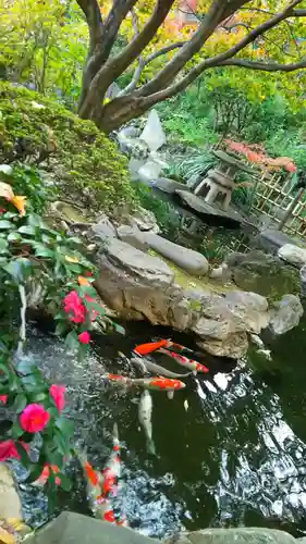 待乳山聖天（本龍院）の庭園