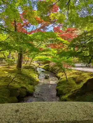 禅林寺(永観堂)(京都府)
