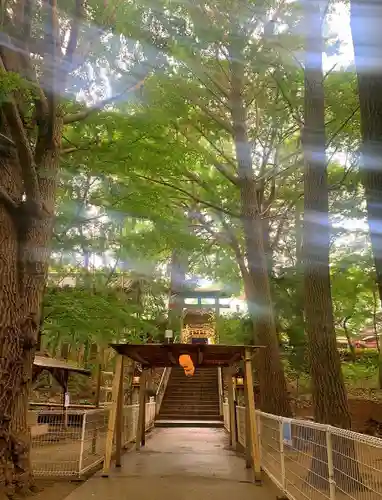 下総国三山　二宮神社のその他建物