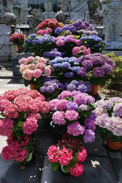 南法華寺(壷阪寺)の自然