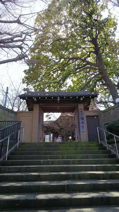 願成寺の山門・神門
