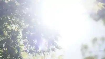 湊川神社(兵庫県)