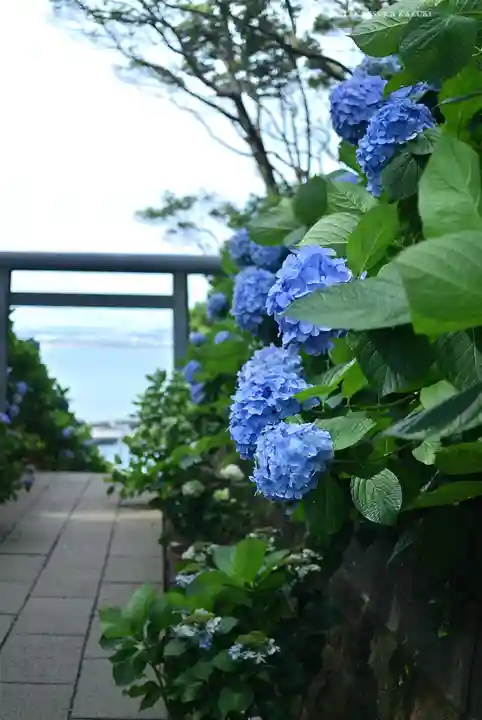 酒列磯前神社(茨城県)