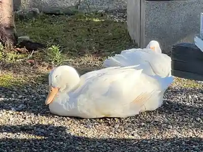 神泉苑(京都府)