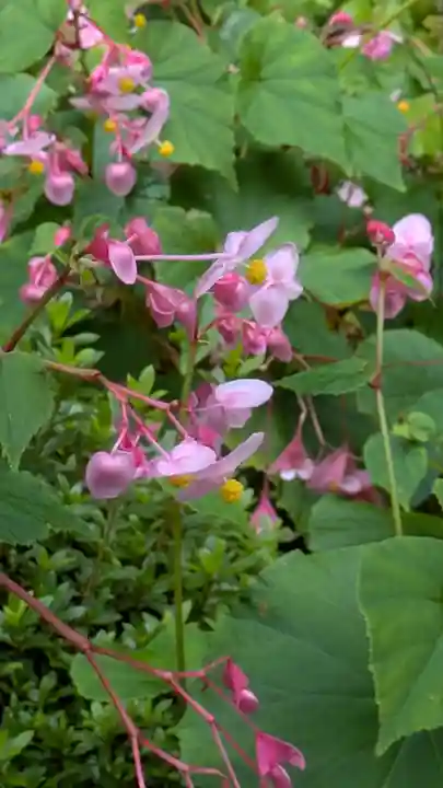 寂光院(京都府)